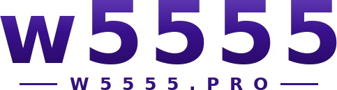 w5555 logo